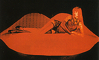 Crazy horse show tour